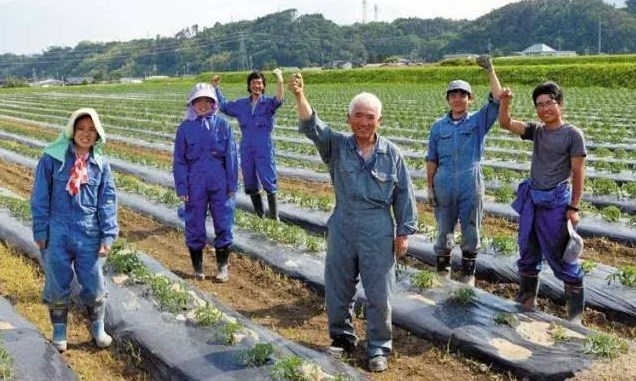 日本勞務(wù)派遣農(nóng)業(yè)類、食品加工、建筑業(yè)、電子業(yè)招聘